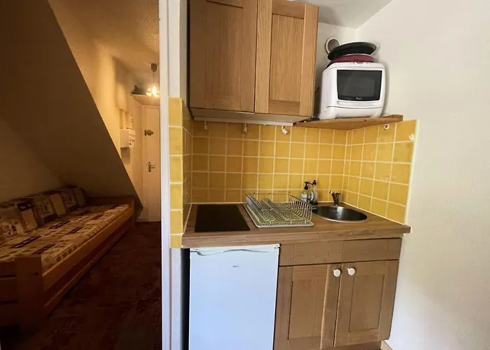 Apartment Pluton - En Plein Coeur De Station, Face Aux Pistes Avec Place De Parking Privee Et Couverte Mae-5261